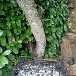 Outros Tempos Turismo De Aldeia Gæstehus