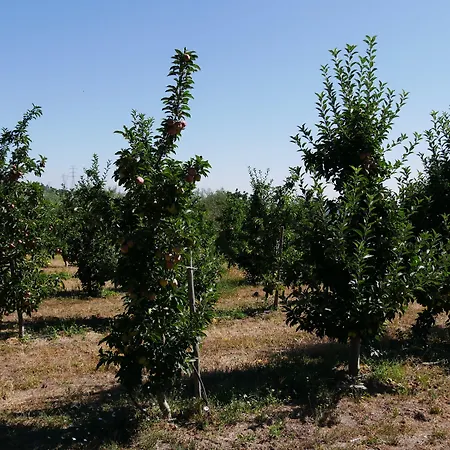 Gasthuis Outros Tempos Turismo De Aldeia 4*