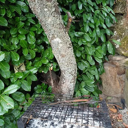 Outros Tempos Turismo De Aldeia Pensionat