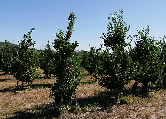 ゲストハウス Outros Tempos Turismo De Aldeia 4*