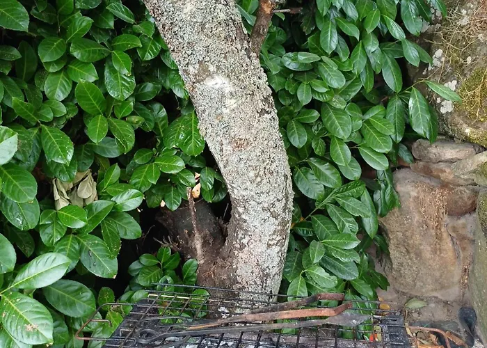 Outros Tempos Turismo De Aldeia בית הארחה